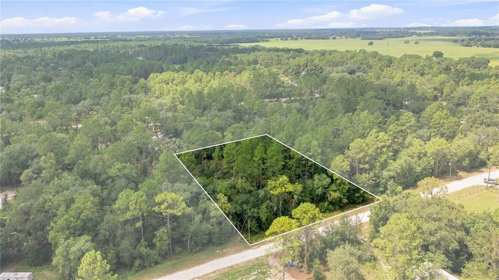 21350 SE 66TH STREET Morriston, FL 32668