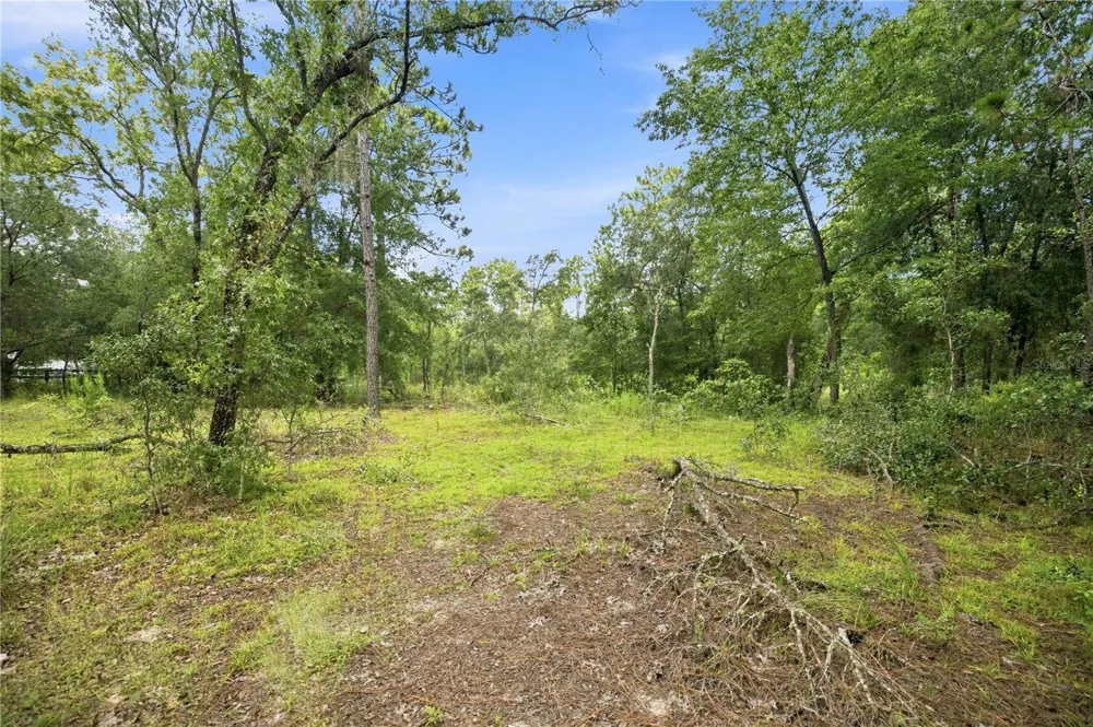 21350 SE 66TH STREET Morriston, FL 32668