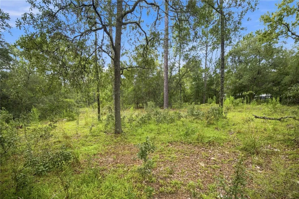 21350 SE 66TH STREET Morriston, FL 32668