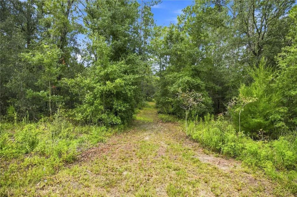 21350 SE 66TH STREET Morriston, FL 32668