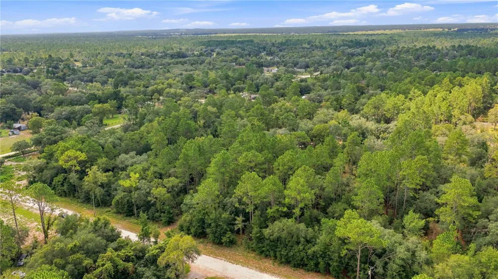 21350 SE 66TH STREET Morriston, FL 32668