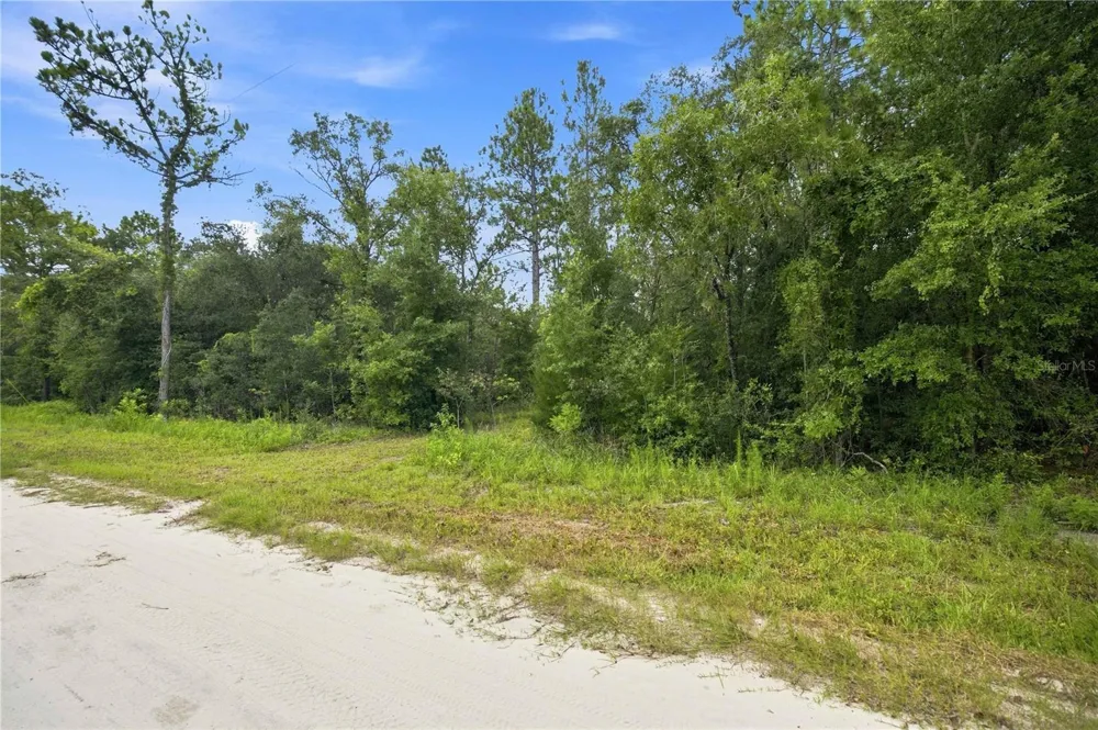 21350 SE 66TH STREET Morriston, FL 32668