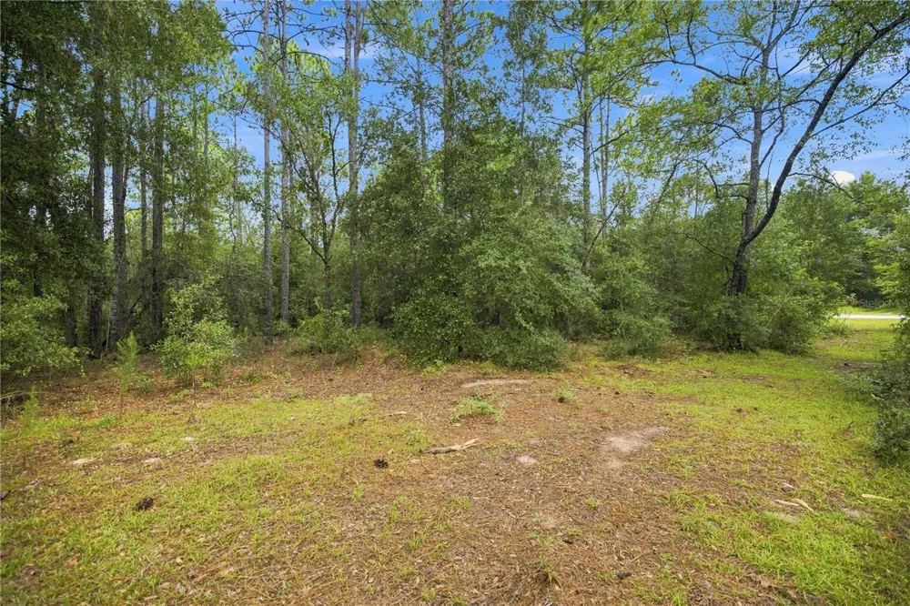 21350 SE 66TH STREET Morriston, FL 32668