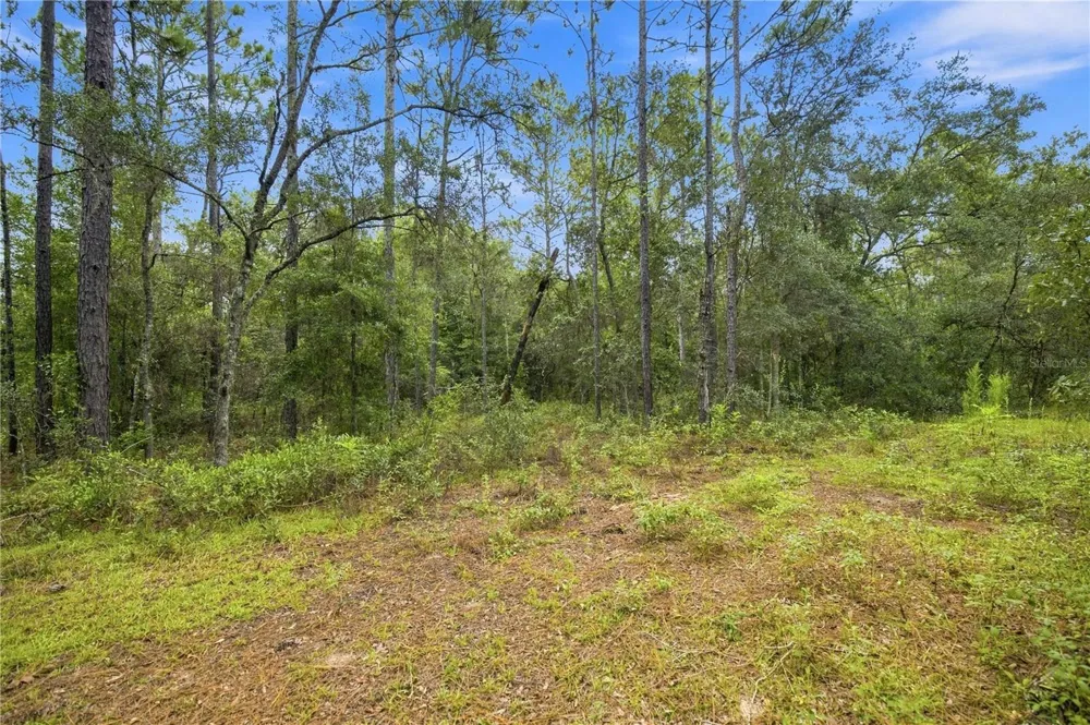 21350 SE 66TH STREET Morriston, FL 32668