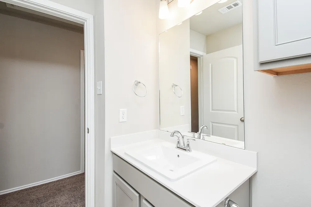 2910 Scanlan Meadow #18 Missouri City, TX 77459