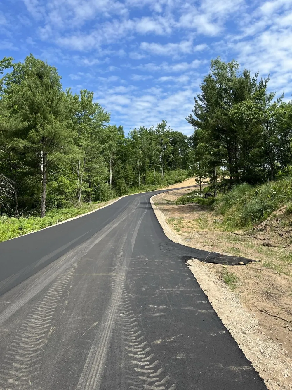 Hoosier Flats Road Blair Township, MI 49685
