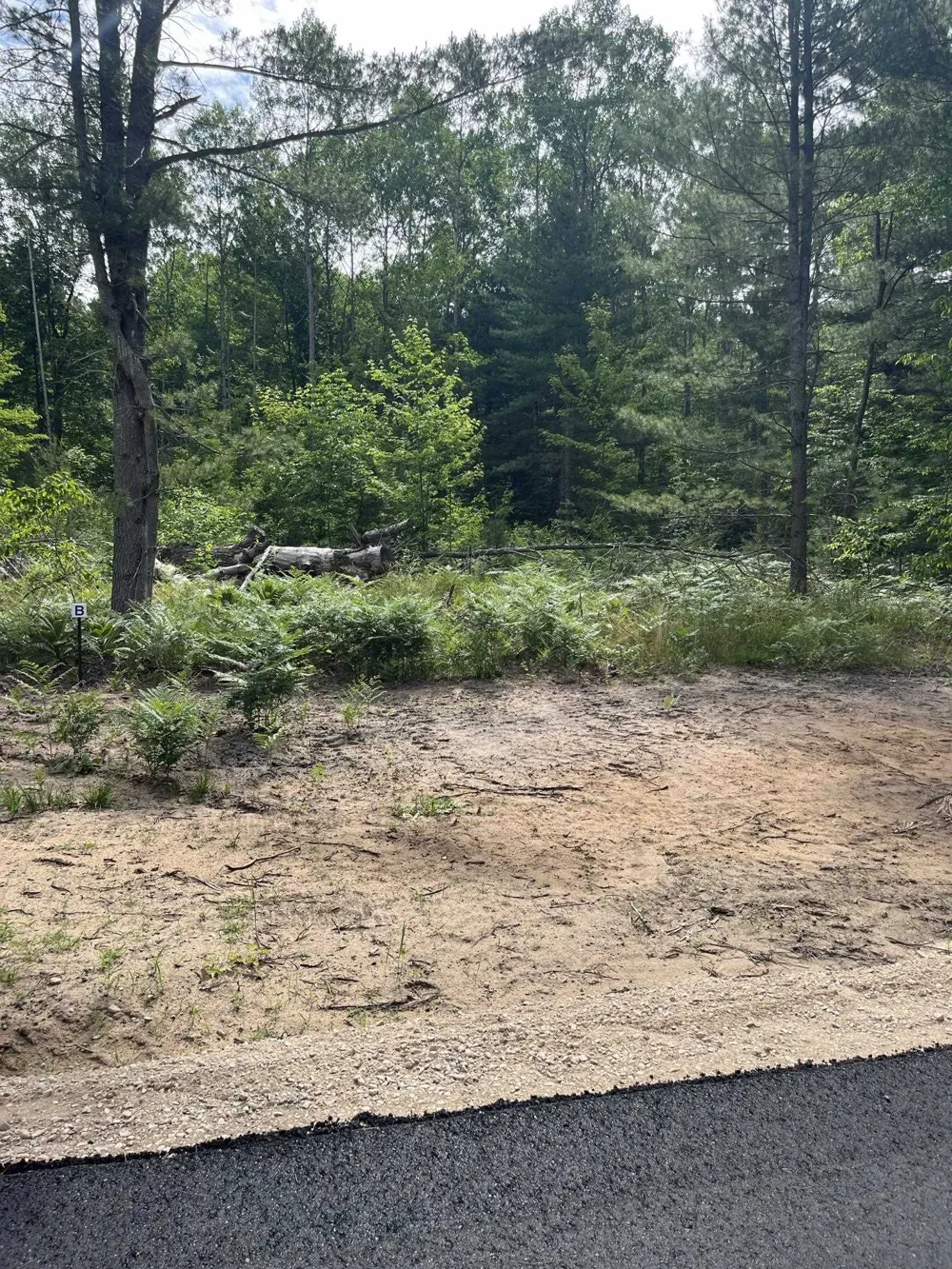 Hoosier Flats Road Blair Township, MI 49685
