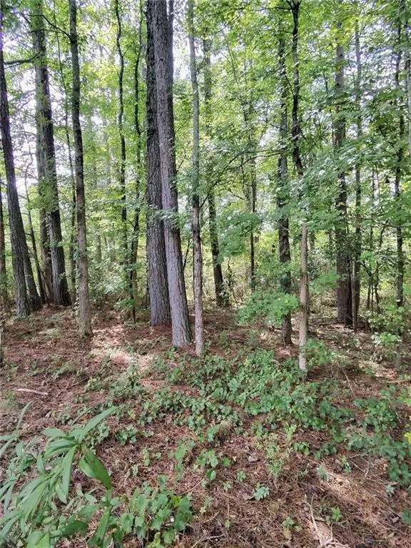 0 Post Road Winston, GA 30187