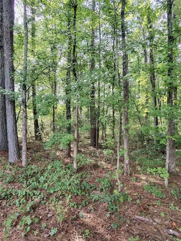 0 Post Road Winston, GA 30187