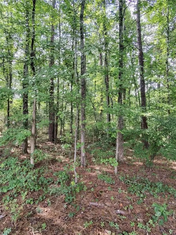 0 Post Road Winston, GA 30187