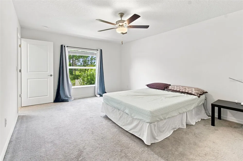 34701 RAINVILLE LOOP Zephyrhills, FL 33541
