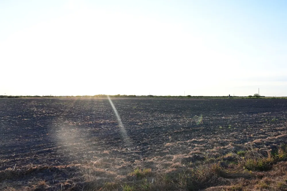 Bixby Rd La Feria, TX 78570