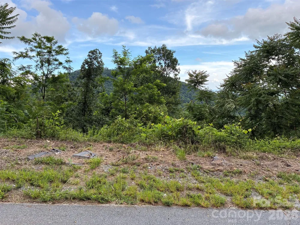 117 Devin Ridge Lane #117 Union Mills, NC 28167