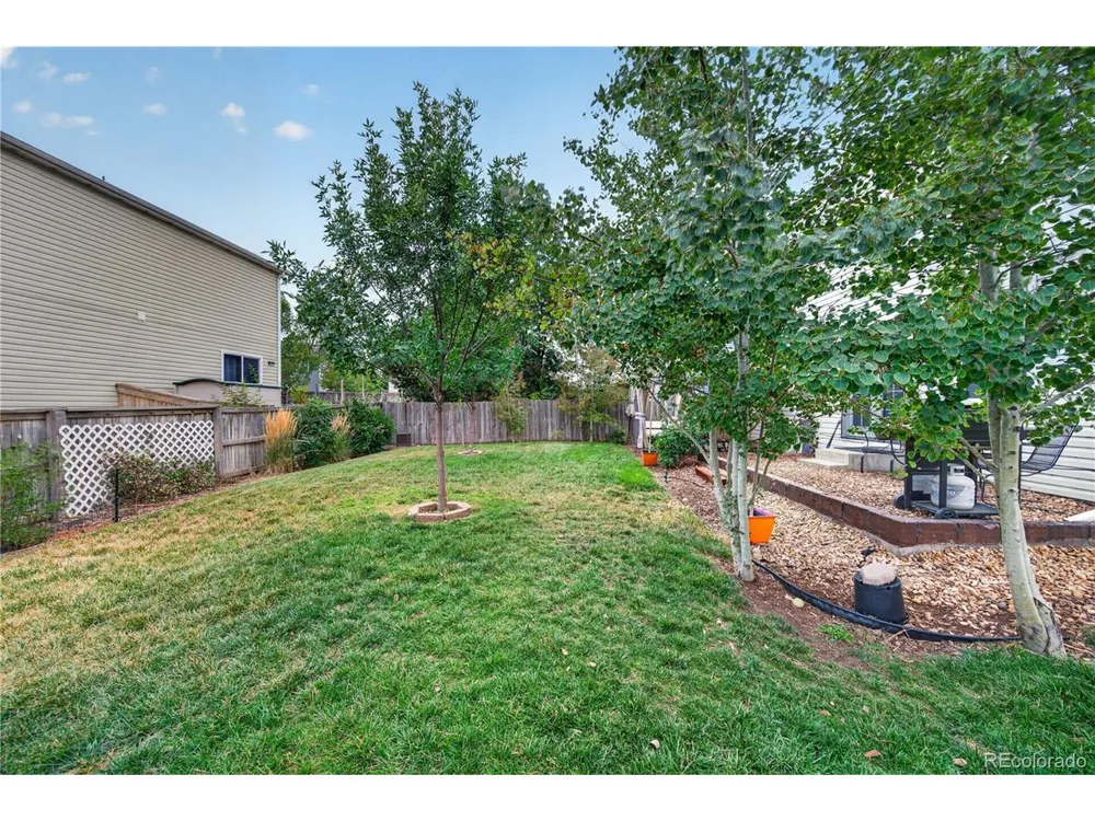 1454 Goldeneye Lane Brighton, CO 80601