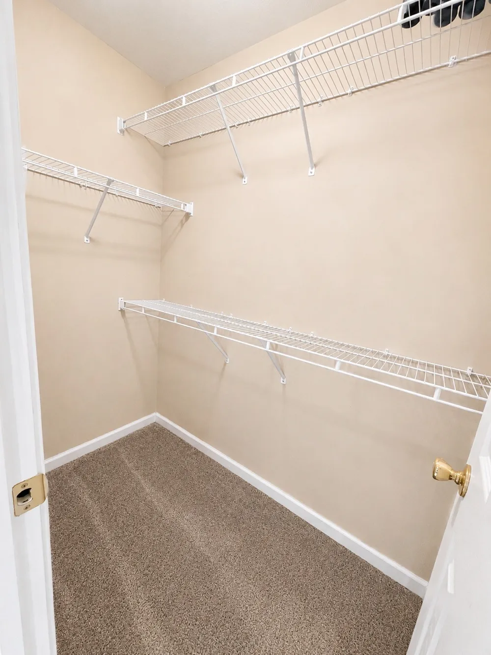 1308 Springmore Ct Antioch, TN 37013