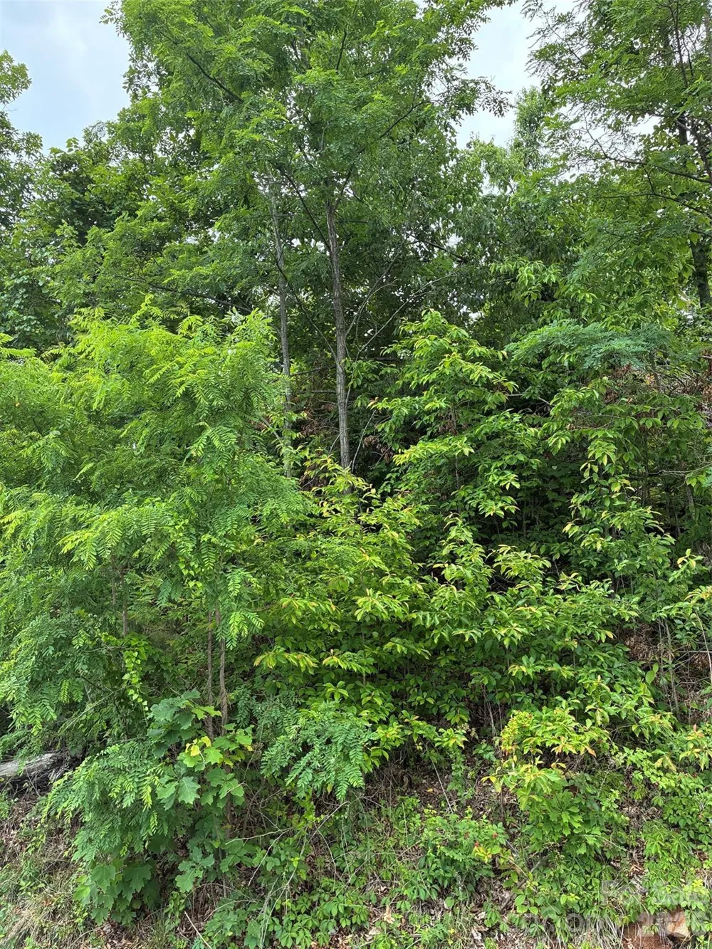 124 Devin Ridge Lane #124 Union Mills, NC 28167