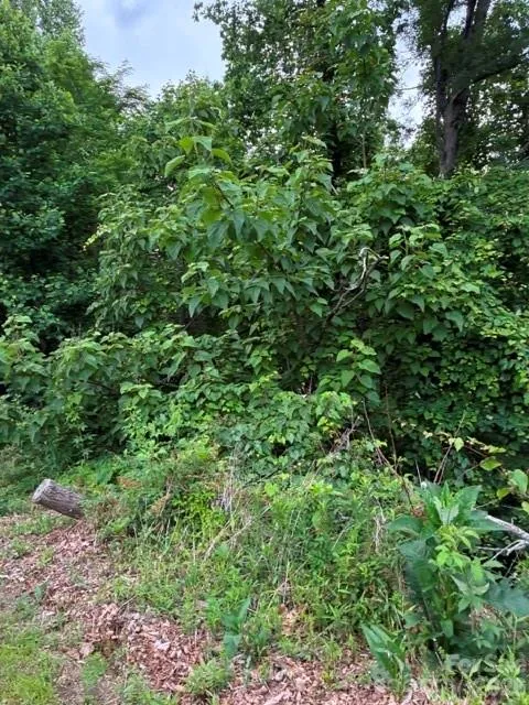 97 DEVIN RIDGE LANE #97 Union Mills, NC 28167