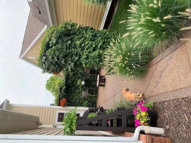 830 Constitution Street Canton Charter Township, MI 48188
