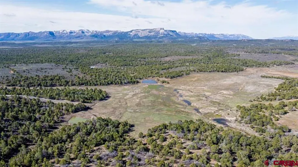 37988 HWY 184 Mancos, CO 81328