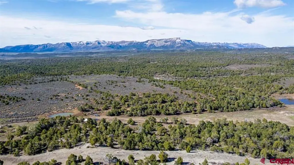37988 HWY 184 Mancos, CO 81328