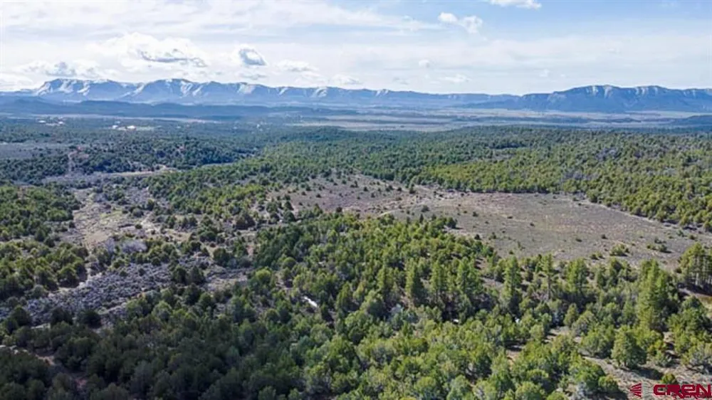 37988 HWY 184 Mancos, CO 81328