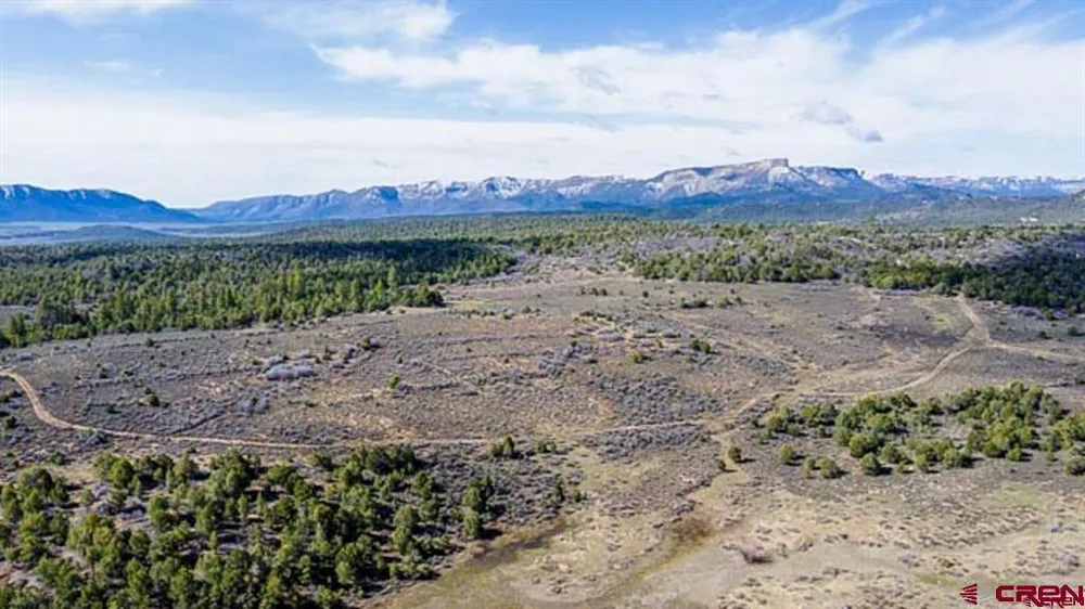 37988 HWY 184 Mancos, CO 81328