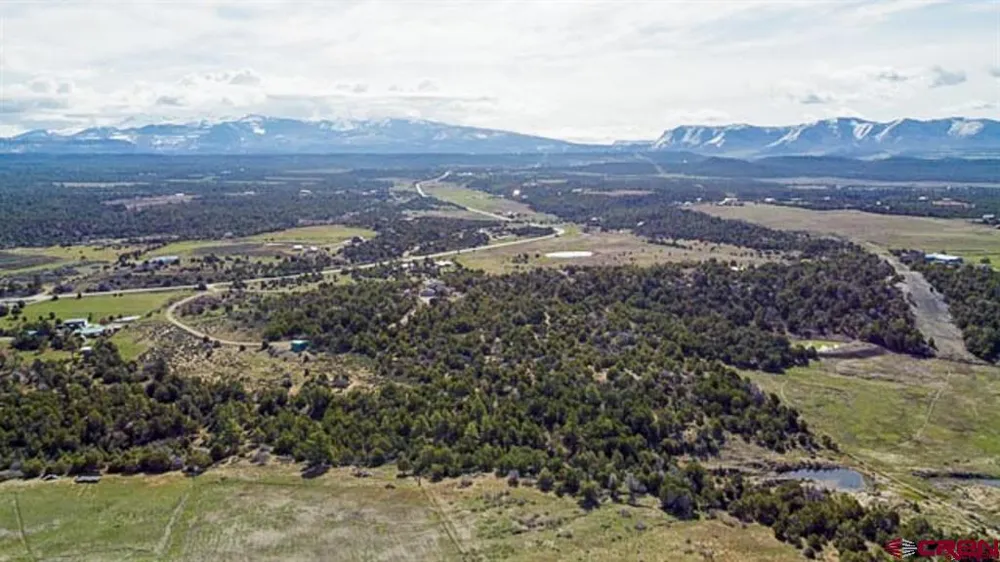 37988 HWY 184 Mancos, CO 81328
