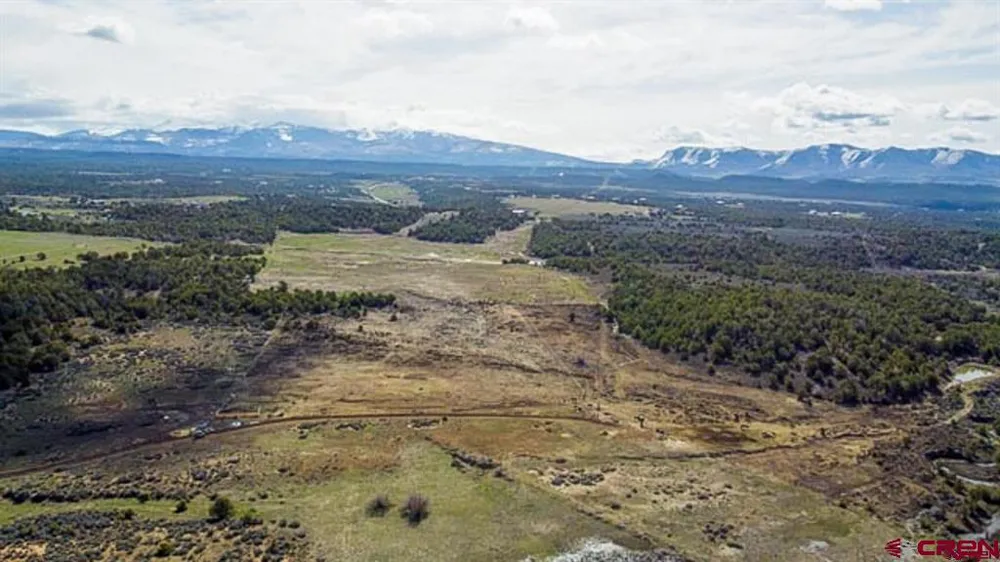 37988 HWY 184 Mancos, CO 81328
