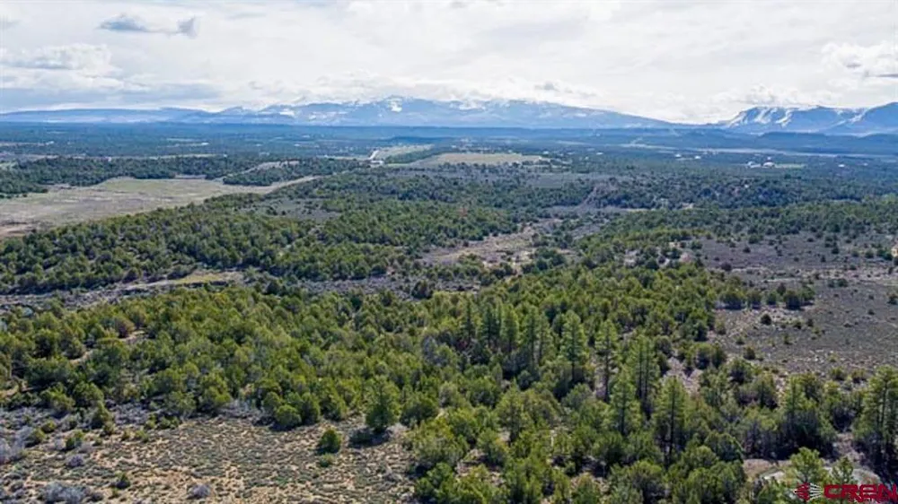 37988 HWY 184 Mancos, CO 81328