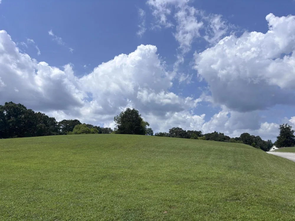 2439 Burton Road Sale Creek, TN 37373