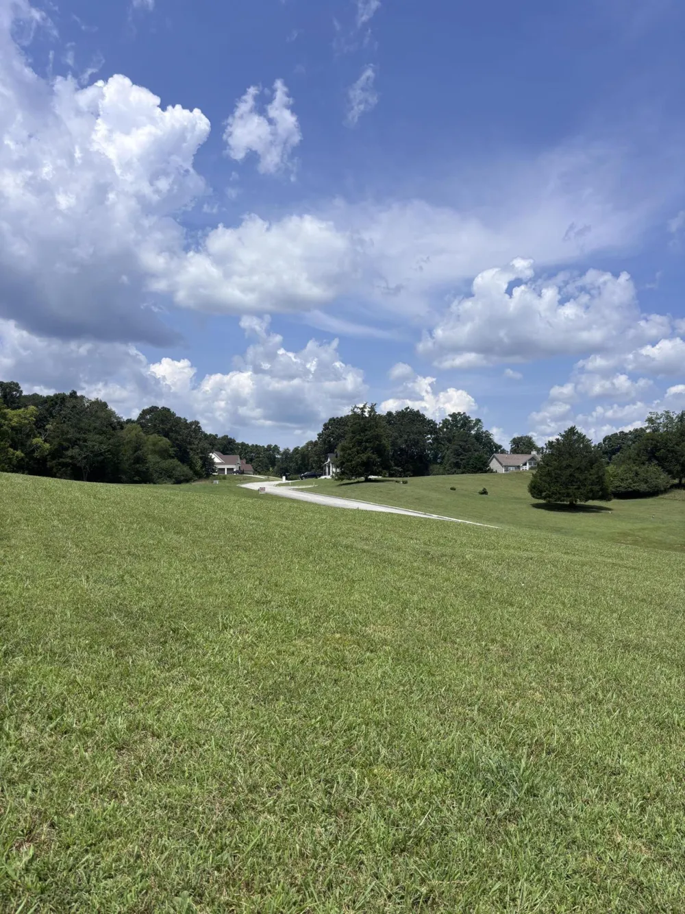 2439 Burton Road Sale Creek, TN 37373