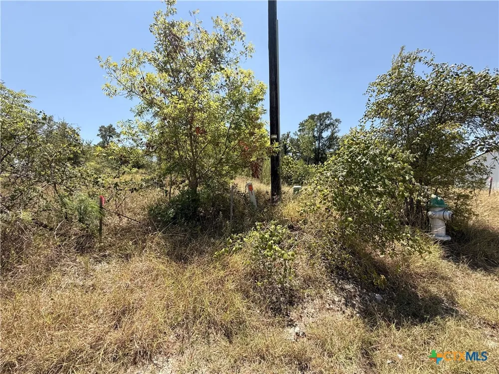 412 E Avenue H Belton, TX 76513