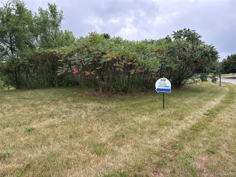 9237 Potterville Drive