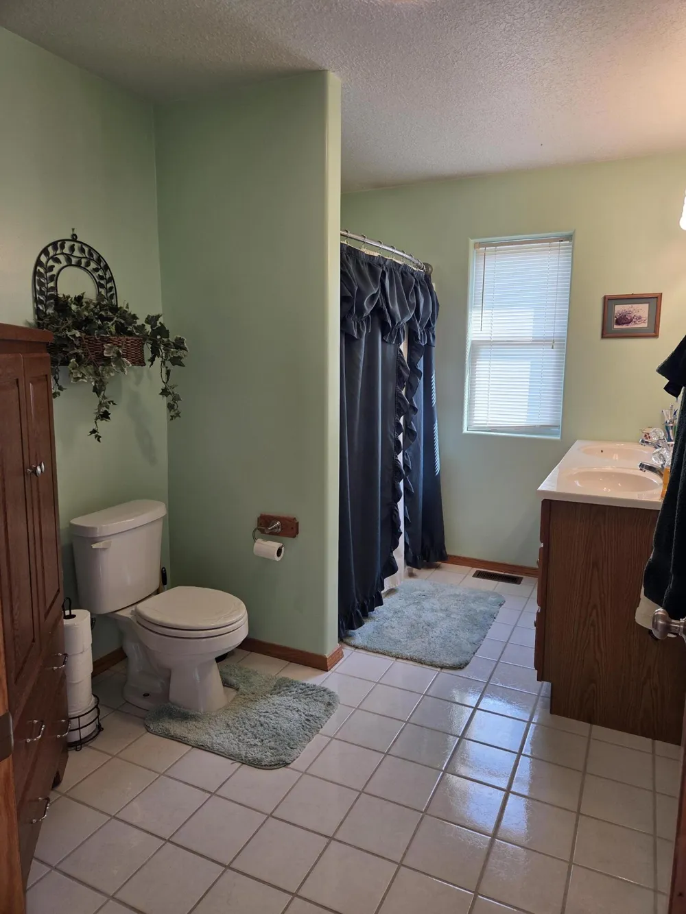 1106 S Bundy Drive Broomfield Township, MI 48893