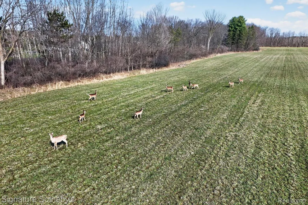 Brigham Road SW Hadley Township, MI 48438
