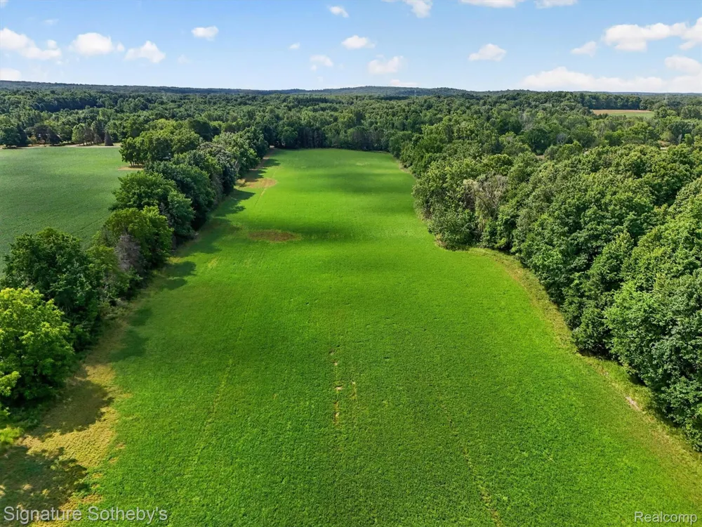 Brigham Road SW Hadley Township, MI 48438