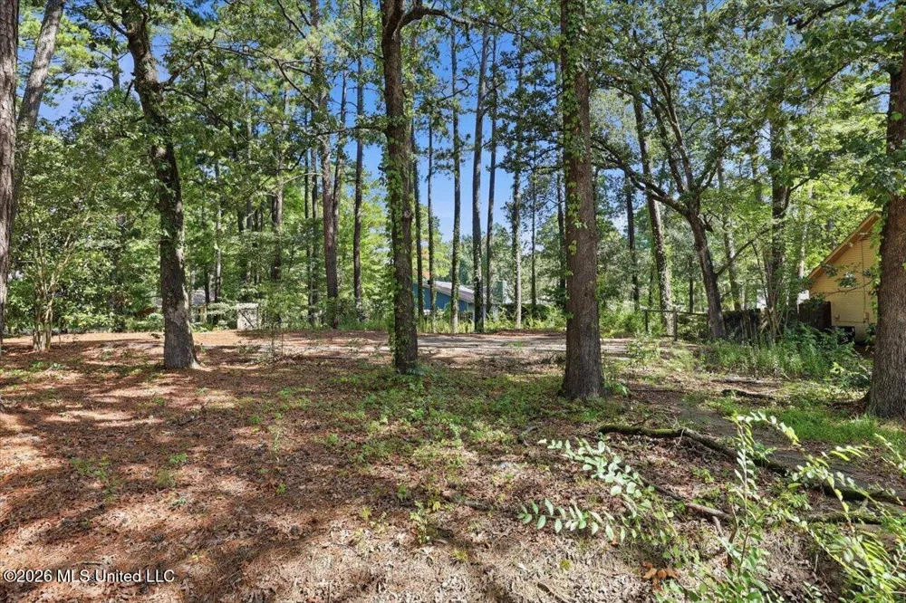 138 Dogwood Circle Brandon, MS 39047