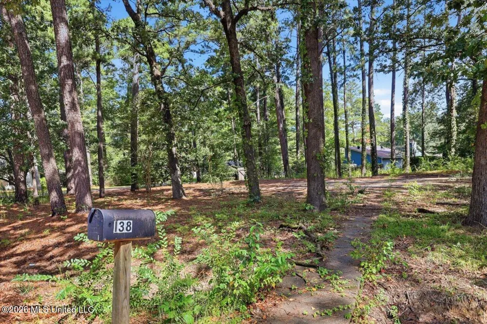 138 Dogwood Circle Brandon, MS 39047
