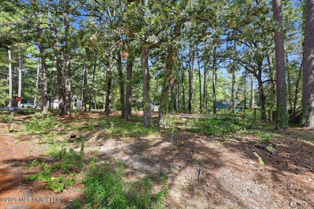 138 Dogwood Circle Brandon, MS 39047