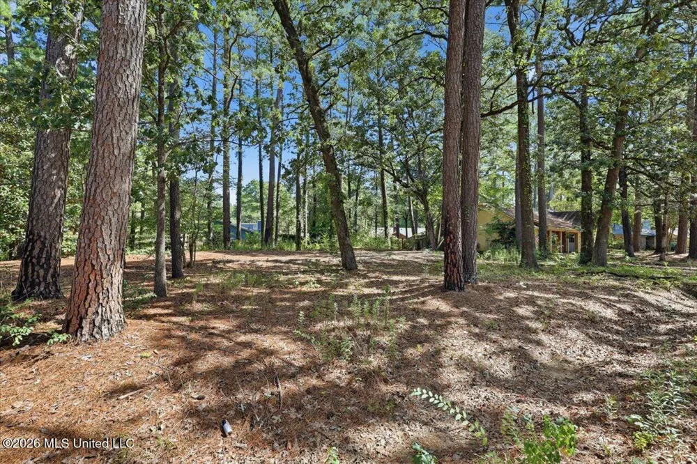 138 Dogwood Circle Brandon, MS 39047