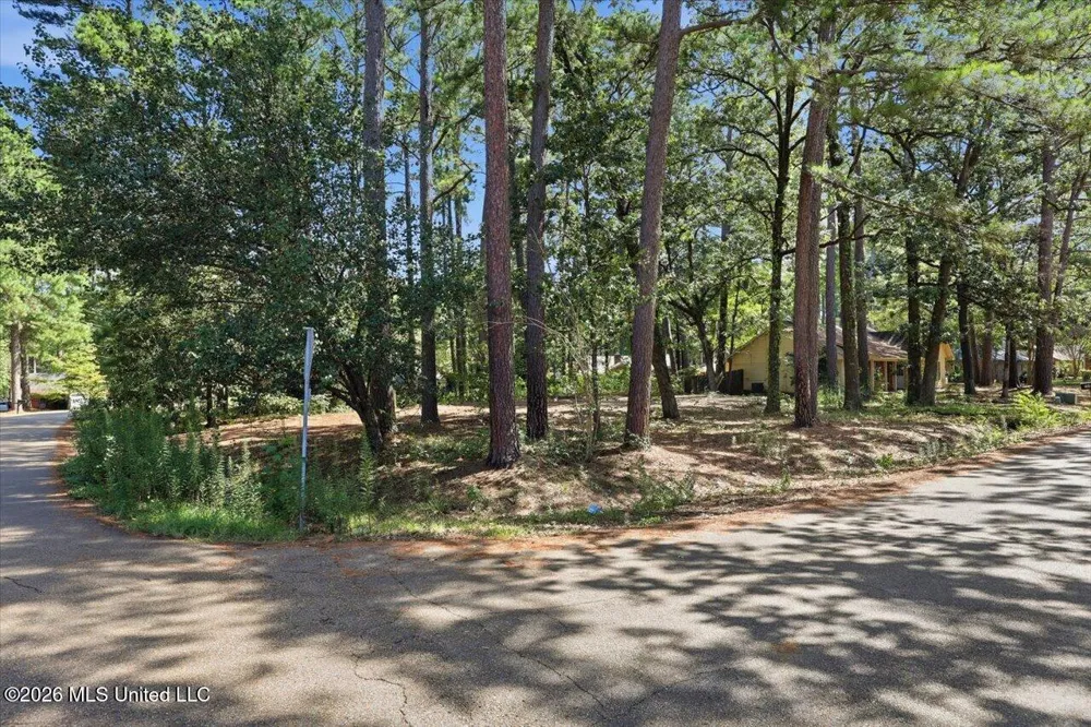 138 Dogwood Circle Brandon, MS 39047
