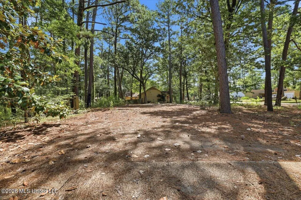 138 Dogwood Circle Brandon, MS 39047