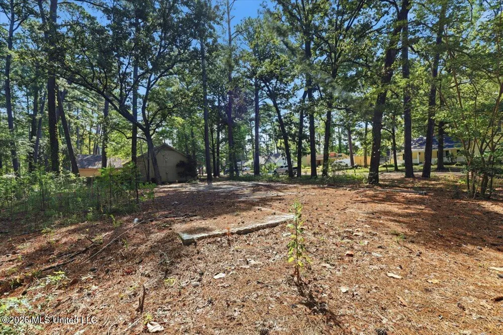 138 Dogwood Circle Brandon, MS 39047