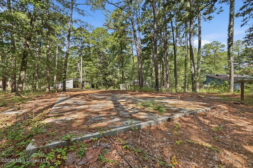 138 Dogwood Circle Brandon, MS 39047