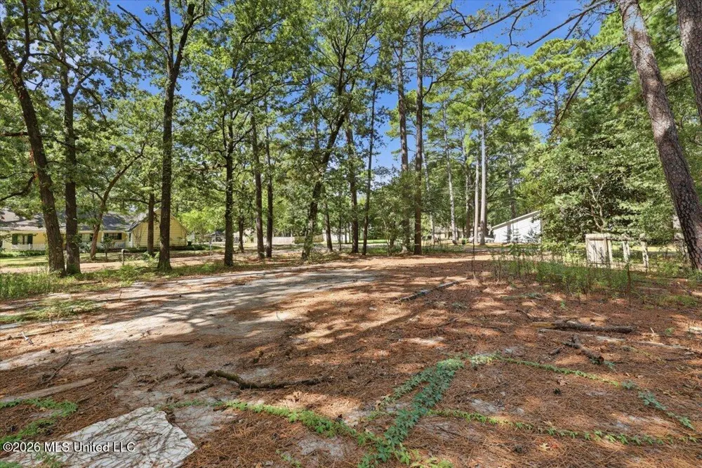 138 Dogwood Circle Brandon, MS 39047