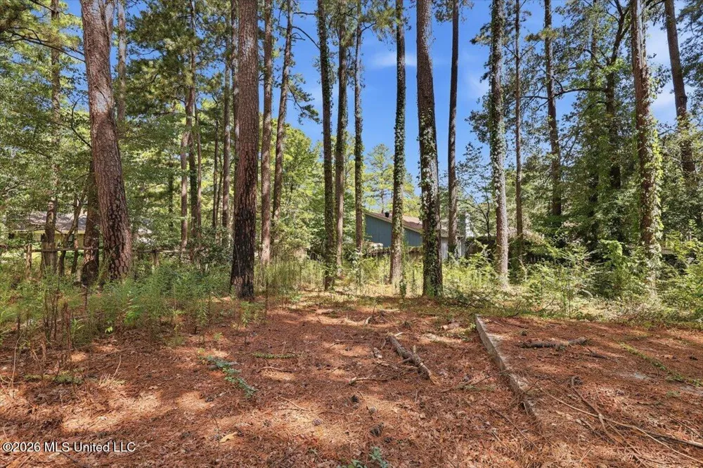 138 Dogwood Circle Brandon, MS 39047