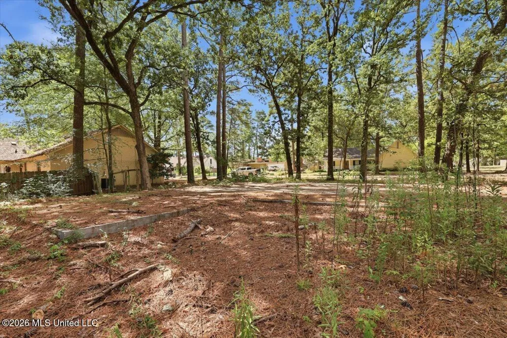 138 Dogwood Circle Brandon, MS 39047