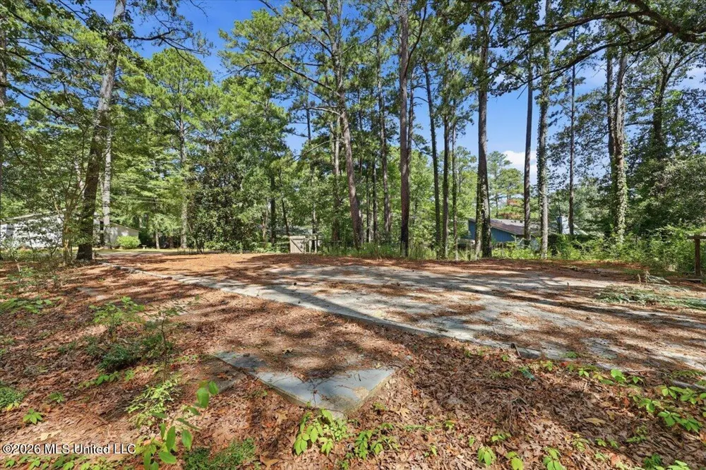 138 Dogwood Circle Brandon, MS 39047
