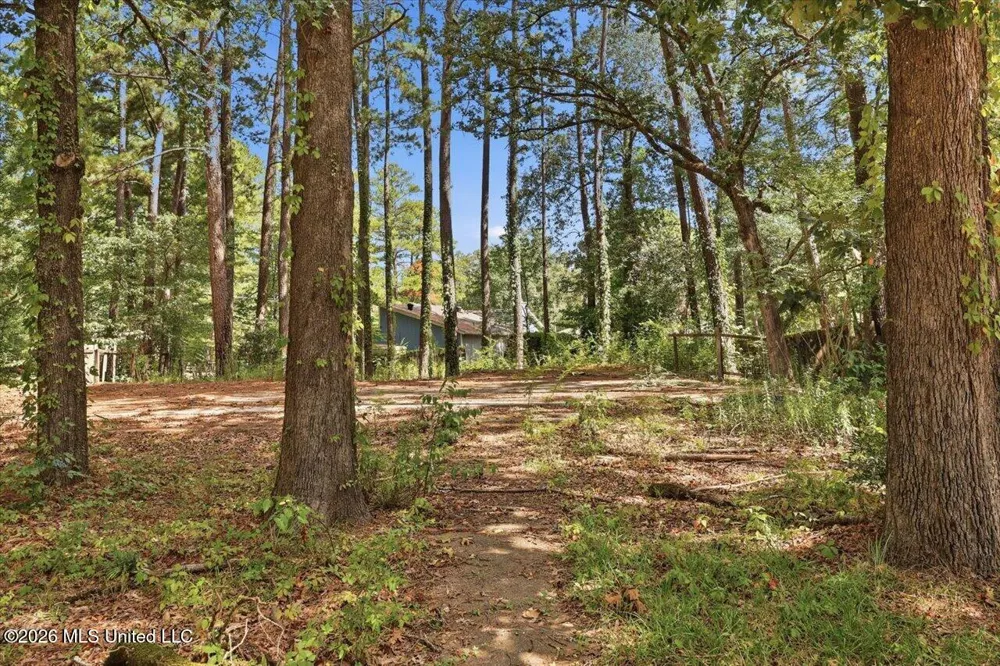 138 Dogwood Circle Brandon, MS 39047