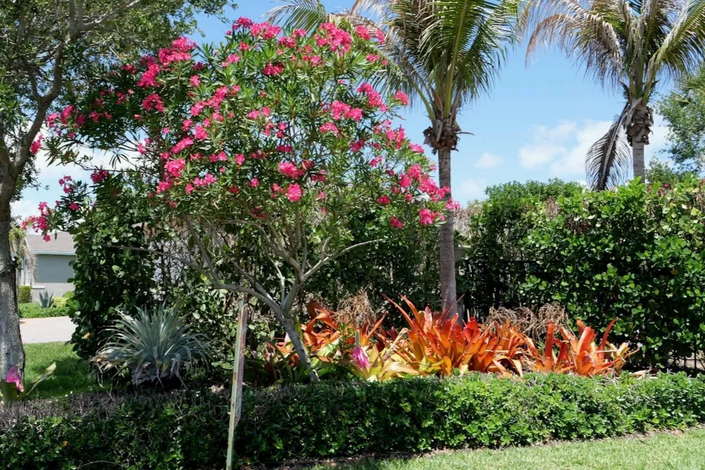 1753 NE White Pine Terrace Ocean Breeze, FL 34957